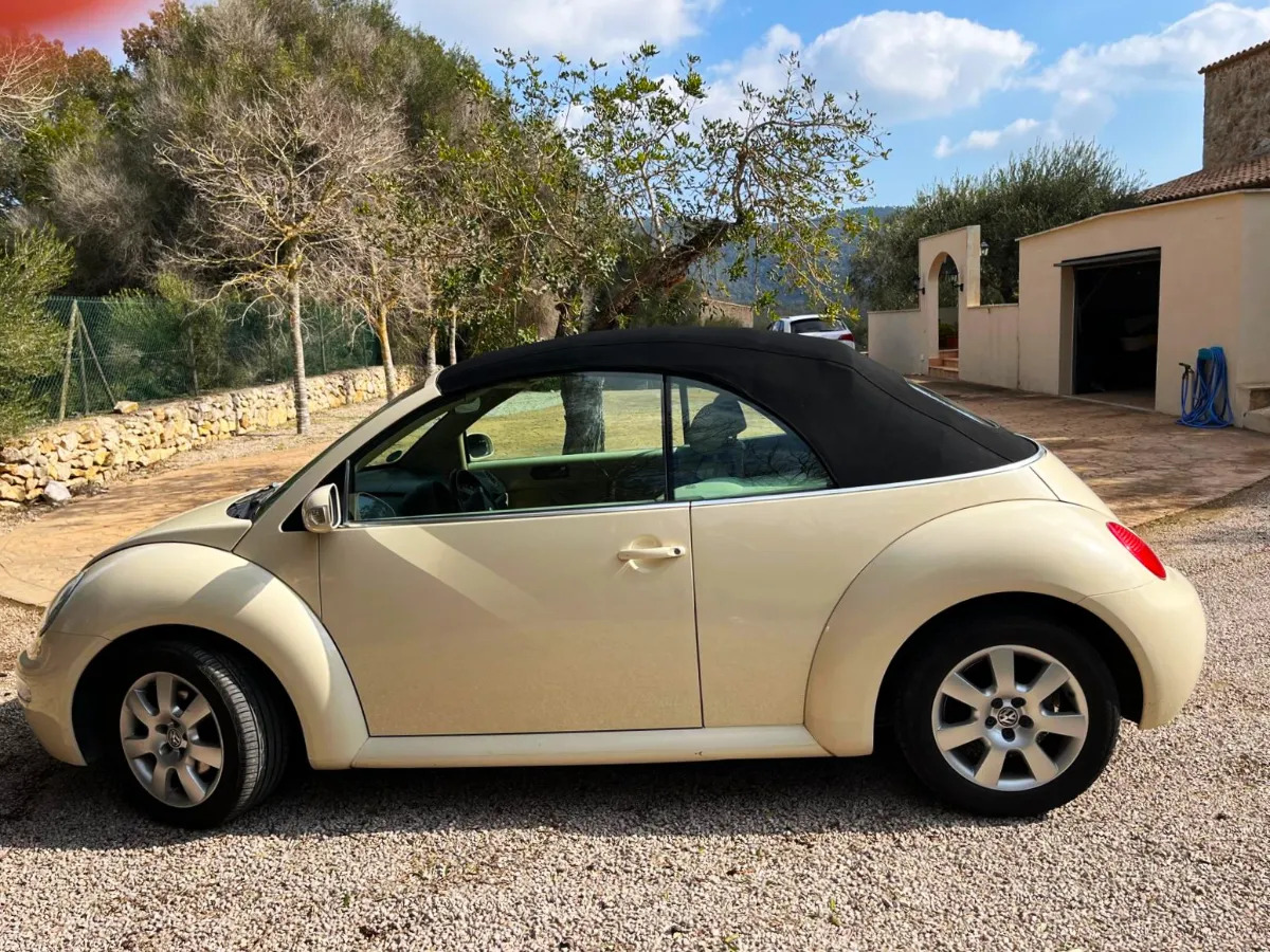 VW Beetle Cabrio, deutsche Zulassung — Bild 1