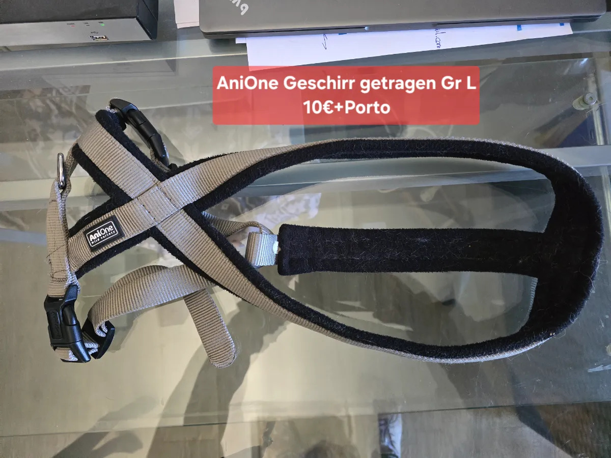 Diverse Windhund Mäntel Halsbänder  — Bild 1