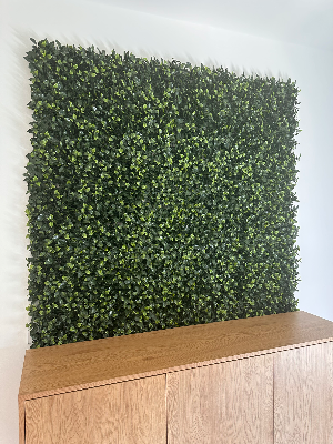 Greenwall Wand Pflanzen Neupreis 180€ 3 qm Topzustand — Haus & Garten auf Mallorca